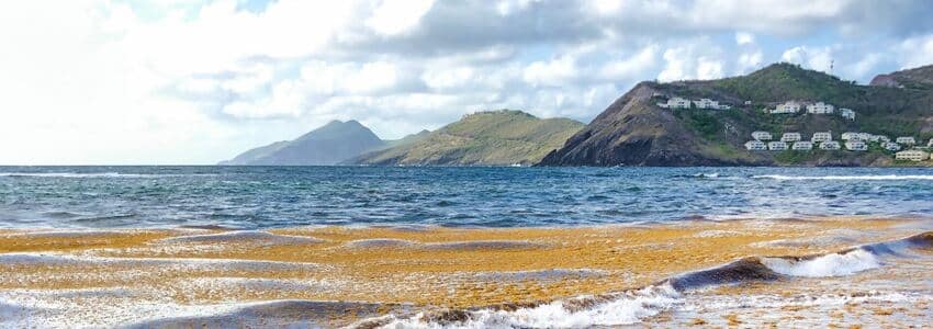 st kitts and nevis beach 850x300