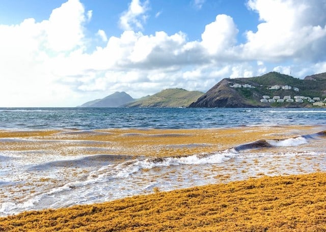 st kitts and nevis beach