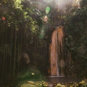 St Lucia Forest Waterfall